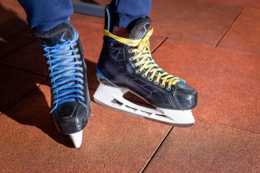 Antrenman ve halk pateni için buz pateni kiralama.