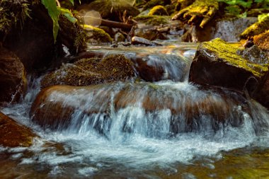 Nehir nehirleri ve şelaleler yazın dağlarda.