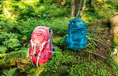 Sırt çantalı ve bastonlu dağlarda yürüyüş..