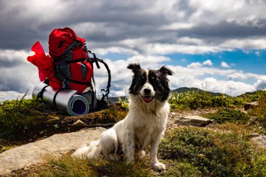 Hiking high in the mountains with a backpack clipart