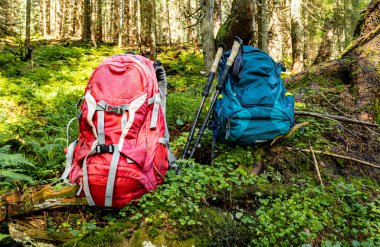 Sırt çantalı ve bastonlu dağlarda yürüyüş..