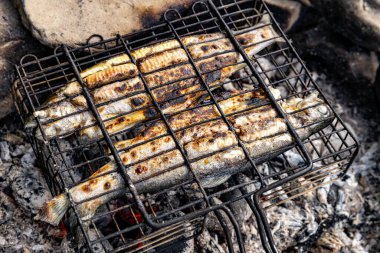 Yazın ormanda alabalık kızartıyorum..