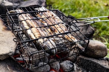 Yazın ormanda alabalık kızartıyorum..