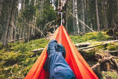 Yaz yürüyüşü dağlarda Çam ormanında bir hamakla.