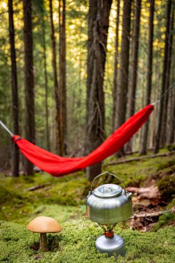 Summer hiking in the mountains with a hammock in a pine forest. clipart