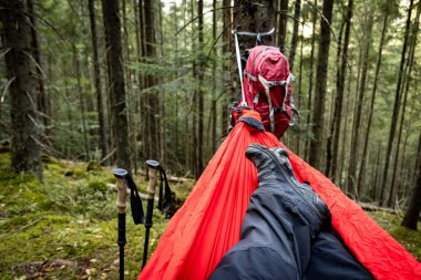 Summer hiking in the mountains with a hammock in a pine forest. clipart