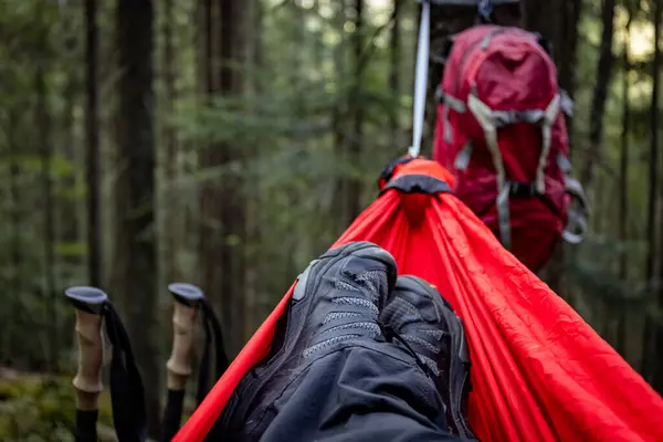 stock image Summer hiking in the mountains with a hammock in a pine forest.