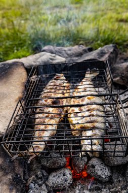 Yazın ormanda alabalık kızartıyorum..