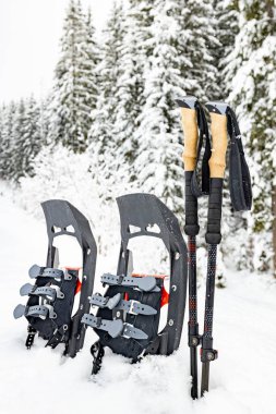 Kar ayakkabıları yakın çekim, dağlarda kış yürüyüşü..