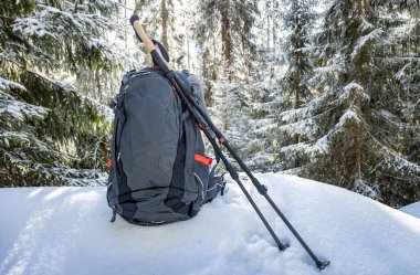 Sırt çantasıyla bahar yürüyüşü ve dağ sırtı boyunca yürüyüş direkleri.