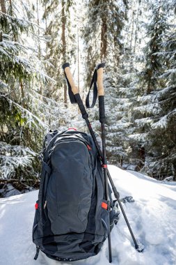 Sırt çantasıyla bahar yürüyüşü ve dağ sırtı boyunca yürüyüş direkleri.