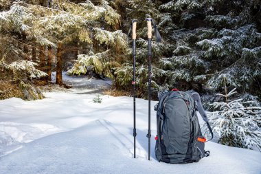 Sırt çantasıyla bahar yürüyüşü ve dağ sırtı boyunca yürüyüş direkleri.