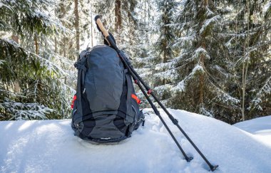 Sırt çantasıyla bahar yürüyüşü ve dağ sırtı boyunca yürüyüş direkleri.
