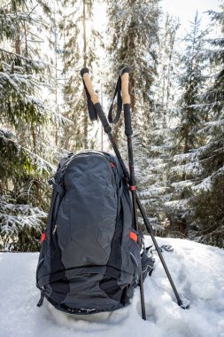 Sırt çantasıyla bahar yürüyüşü ve dağ sırtı boyunca yürüyüş direkleri.