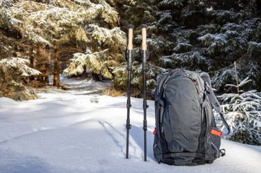 Sırt çantasıyla bahar yürüyüşü ve dağ sırtı boyunca yürüyüş direkleri.
