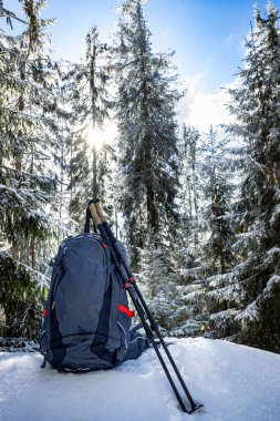 Sırt çantasıyla bahar yürüyüşü ve dağ sırtı boyunca yürüyüş direkleri.