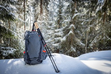 Sırt çantasıyla bahar yürüyüşü ve dağ sırtı boyunca yürüyüş direkleri.