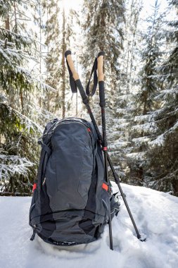 Sırt çantasıyla bahar yürüyüşü ve dağ sırtı boyunca yürüyüş direkleri.