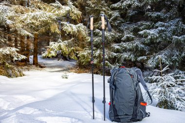 Sırt çantasıyla bahar yürüyüşü ve dağ sırtı boyunca yürüyüş direkleri.