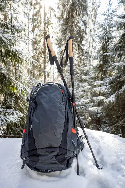 Sırt çantasıyla bahar yürüyüşü ve dağ sırtı boyunca yürüyüş direkleri.