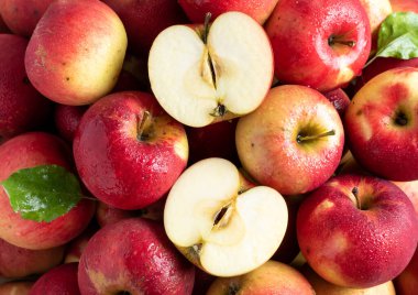 Kırmızı Elma Cultivar Jonathan Grubu