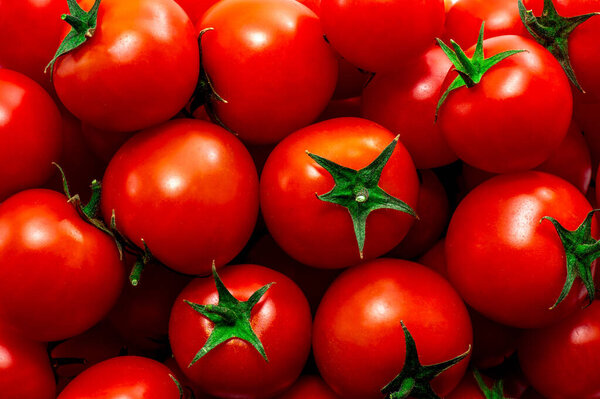 Group of red ripe tomatoes