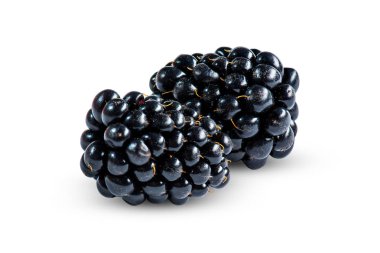 Beyaz arka planda iki olgun böğürtlen...