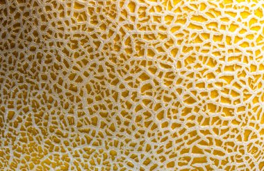 Sarı ve beyaz desenli karpuz kabuğunun dengesiz dokusu