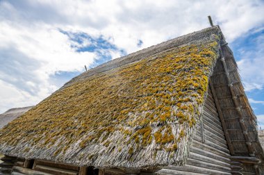 Eski bir sazdan çatı yosunlarla kaplı.