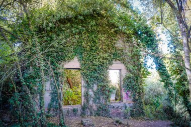 Zamanın geçişi ve duvarları su basmasından dolayı tamamen boş ve çürümüş bir ev.