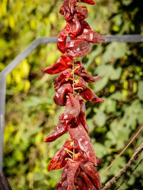 Red peppers drying in the air of the mountains in the Alpujarra of Granada