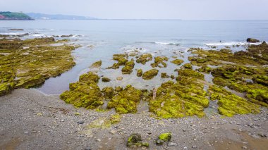Genç ve sarışın bir kadın, yoğun yeşil renkli alglerle dolu kayaların arasında yürüyor.