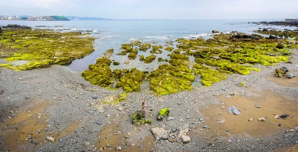 Genç ve sarışın bir kadın, yoğun yeşil renkli alglerle dolu kayaların arasında yürüyor.