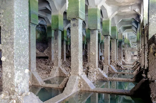Support columns of a pier with sea dirt and green color