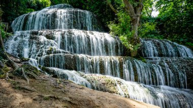 Zengin şelaleleri olan Taş Manastır Bahçesi Parkı