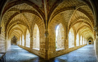 Zaragoza ilinin Nuevalos kasabası yakınlarındaki harap olmuş bir manastır.