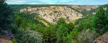 Lobos Nehri Kanyonu Doğal Parkı 'nın bitki örtüsü panoramik.
