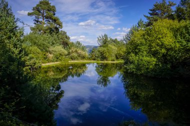 Ağaçlı göl ve kabarık bulutlu mavi gökyüzü.