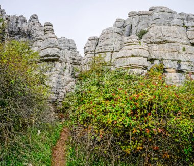 Malaga 'nın Torcal de Antequera bölgesinde ilginç şekillere sahip kaya oluşumları