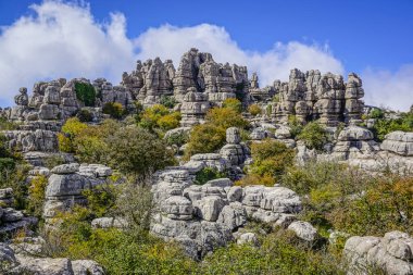 Malaga 'nın Torcal de Antequera bölgesinde ilginç şekillere sahip kaya oluşumları