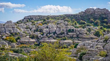 Malaga 'nın Torcal de Antequera bölgesinde ilginç şekillere sahip kaya oluşumları