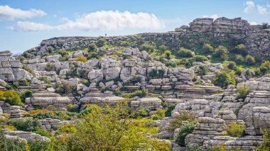 Malaga 'nın Torcal de Antequera bölgesinde ilginç şekillere sahip kaya oluşumları