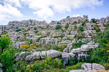 Malaga 'nın Torcal de Antequera bölgesinde ilginç şekillere sahip kaya oluşumları