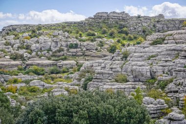 Malaga 'nın Torcal de Antequera bölgesinde ilginç şekillere sahip kaya oluşumları