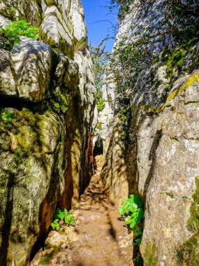 Malaga 'daki Torcal de Antequera' da kaya duvarları arasındaki dar yol
