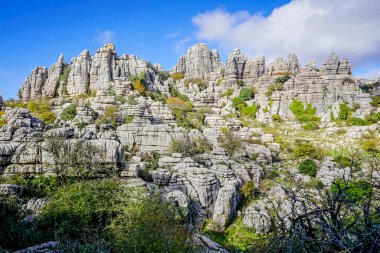 Malaga 'nın Torcal de Antequera bölgesinde ilginç şekillere sahip kaya oluşumları