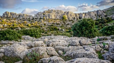 Malaga 'nın Torcal de Antequera bölgesinde ilginç şekillere sahip kaya oluşumları
