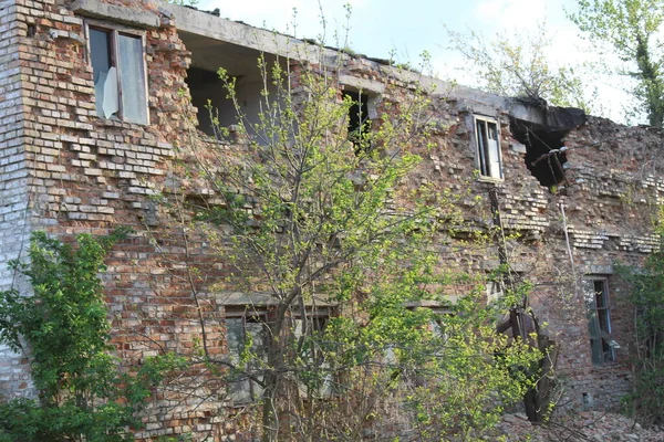 乌克兰一座老房子的废墟 — 图库照片