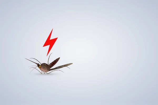 Imagem Estoque Prevenção Estratégias Para Combater Doenças Mosquito Borne — Fotografia de Stock