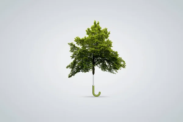 Día Mundial Del Medio Ambiente Promoción Protección Del Medio Ambiente — Foto de Stock